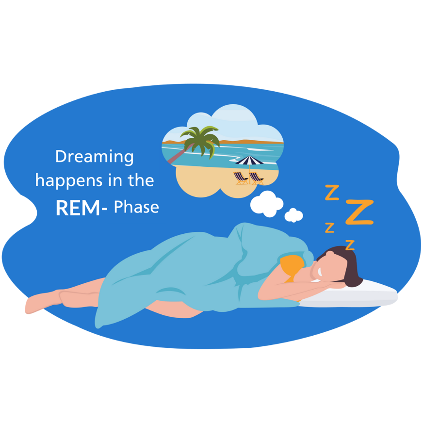 REM-Phase dreaming